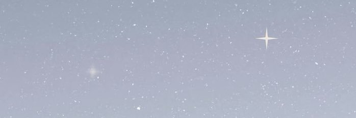 ✦ banner