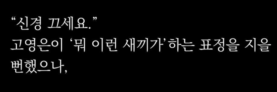 이불's banner