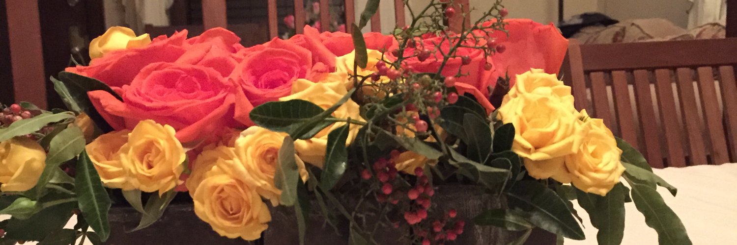 marthapotr's profile banner image