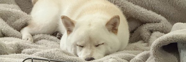 fps__saku Profile Banner