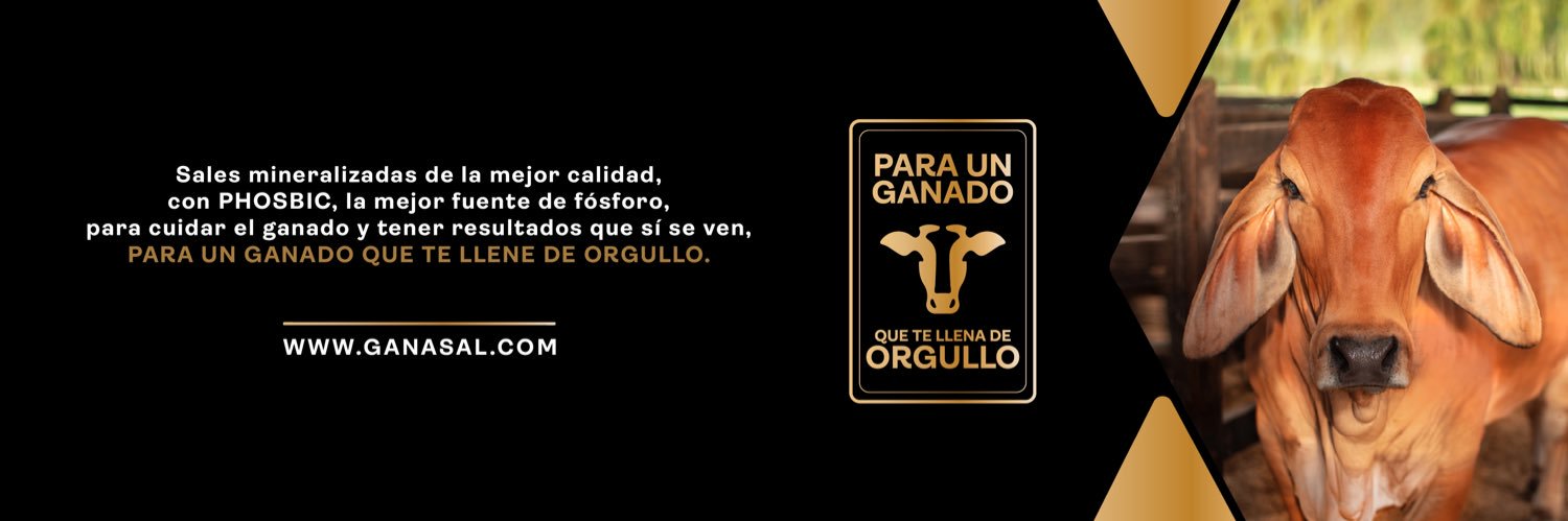 ganasal's profile banner image