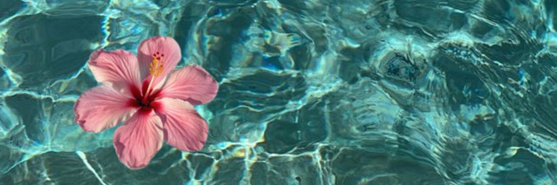 رَ 🌺 banner