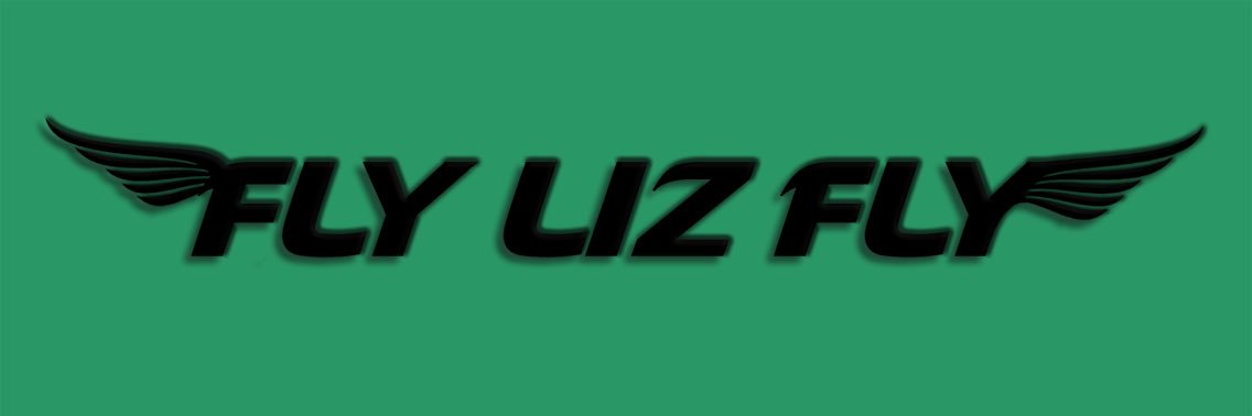 FlyingWithLiz's profile banner image