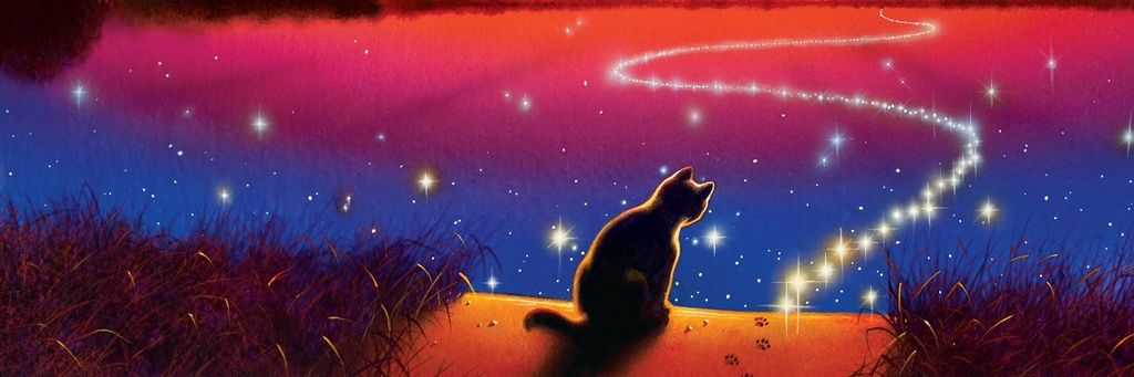 dragonsror's profile banner image