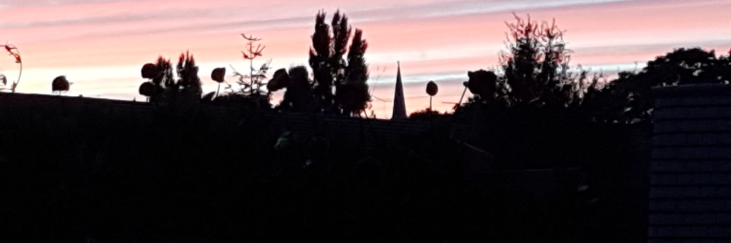 Sheila Thompson banner