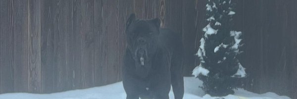 FTPKilla Profile Banner