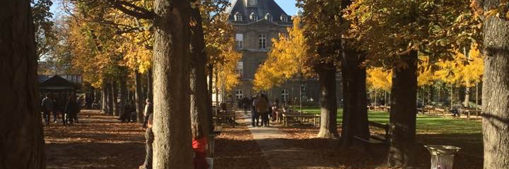 Michael McDermott banner