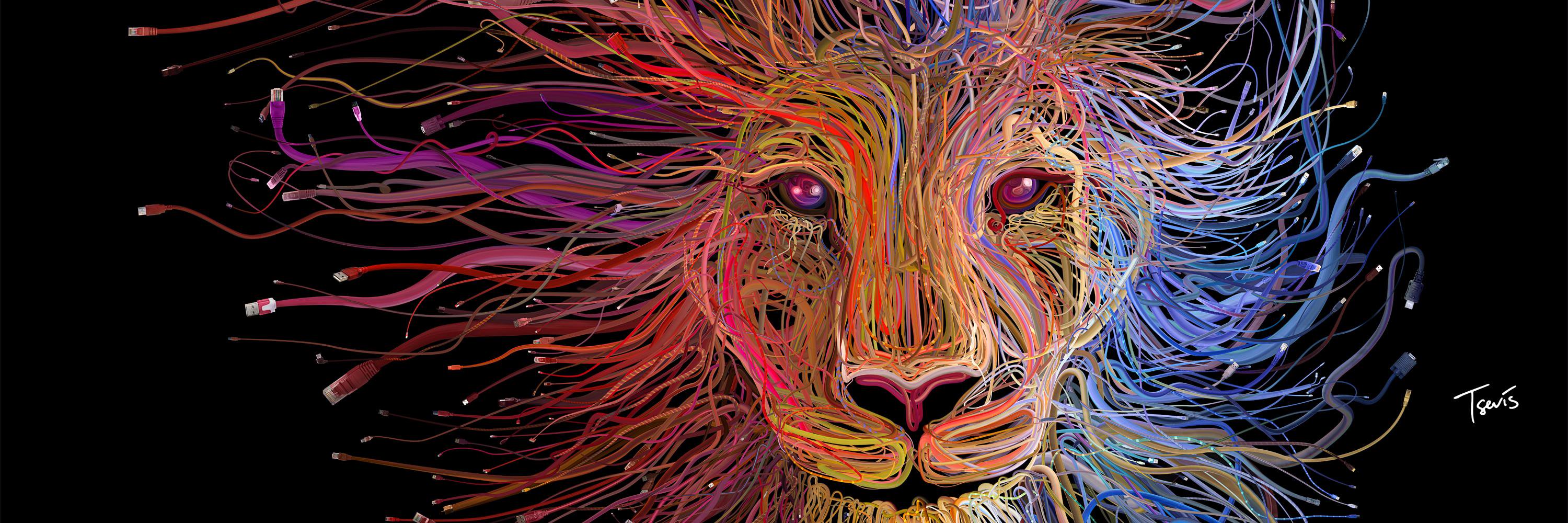dav1dc's profile banner image