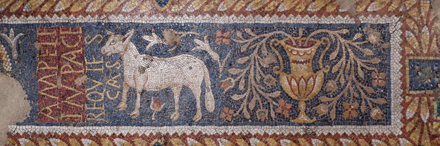 Robin Fleming banner