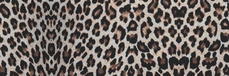 leopardtae's profile banner image