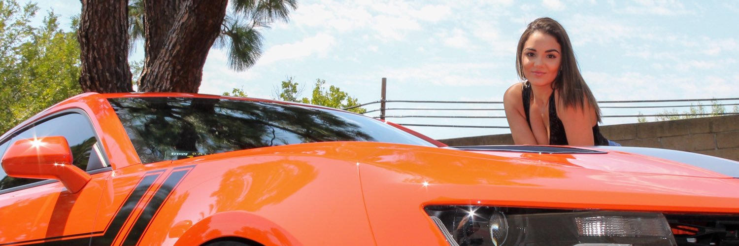brishipp5's profile banner image