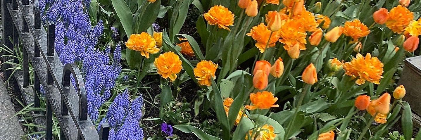 edotscott's profile banner image