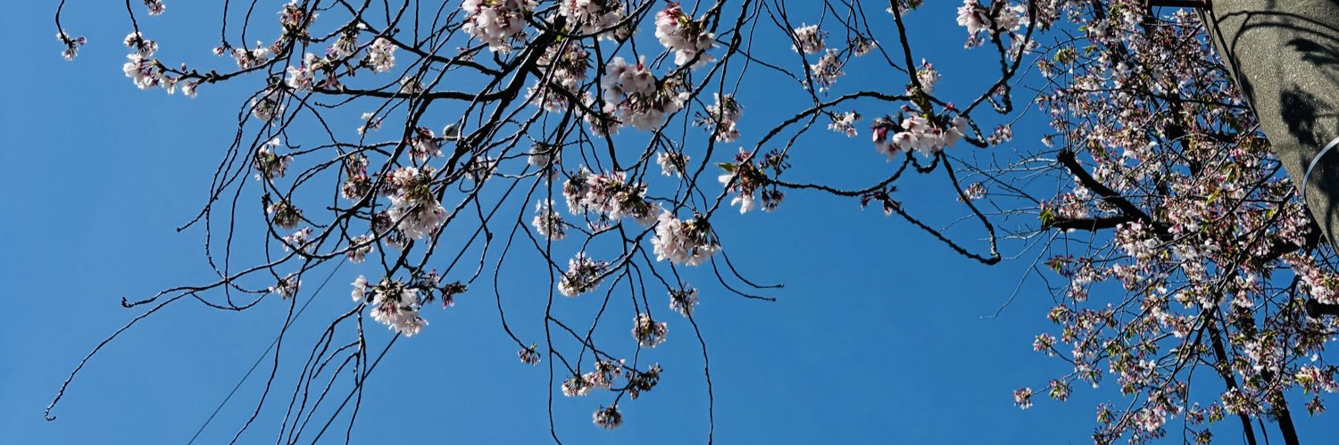 たなぽんたす banner