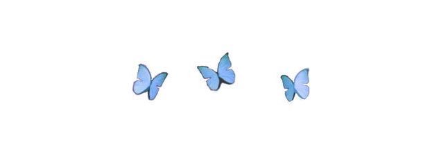 rachelgray99's profile banner image