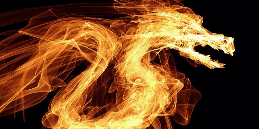 Veronica McCallion banner