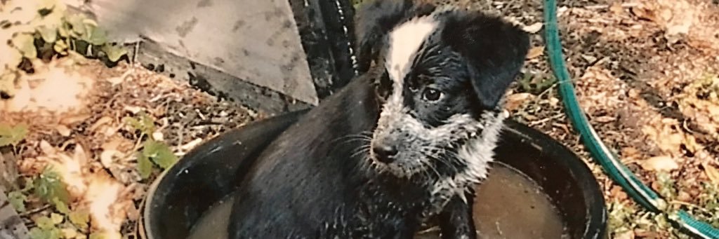 Thomas Lockney banner