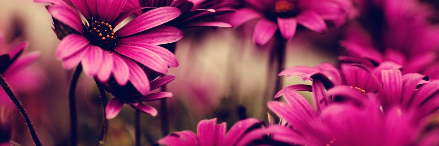 Rima_2090's profile banner image