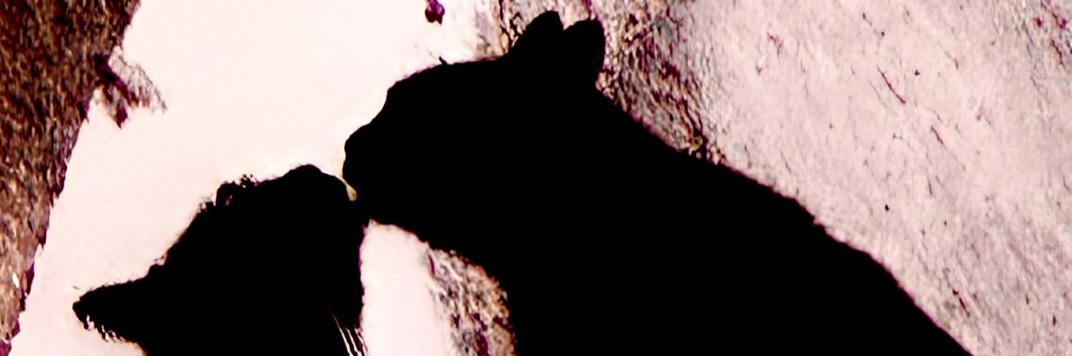 ih8dxnny's profile banner image