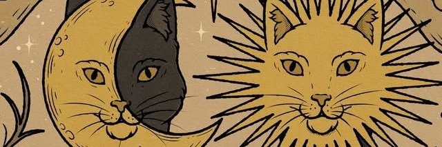 ★ ★ 𝖊𝖒𝖇𝖊𝖗𝖎𝖓𝖊 ★ ★'s banner