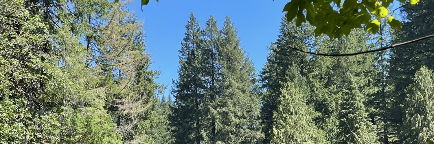 ddperezg's profile banner image