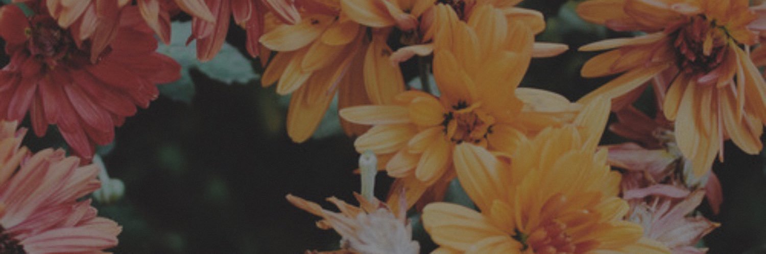 j o y a • (she/her) banner