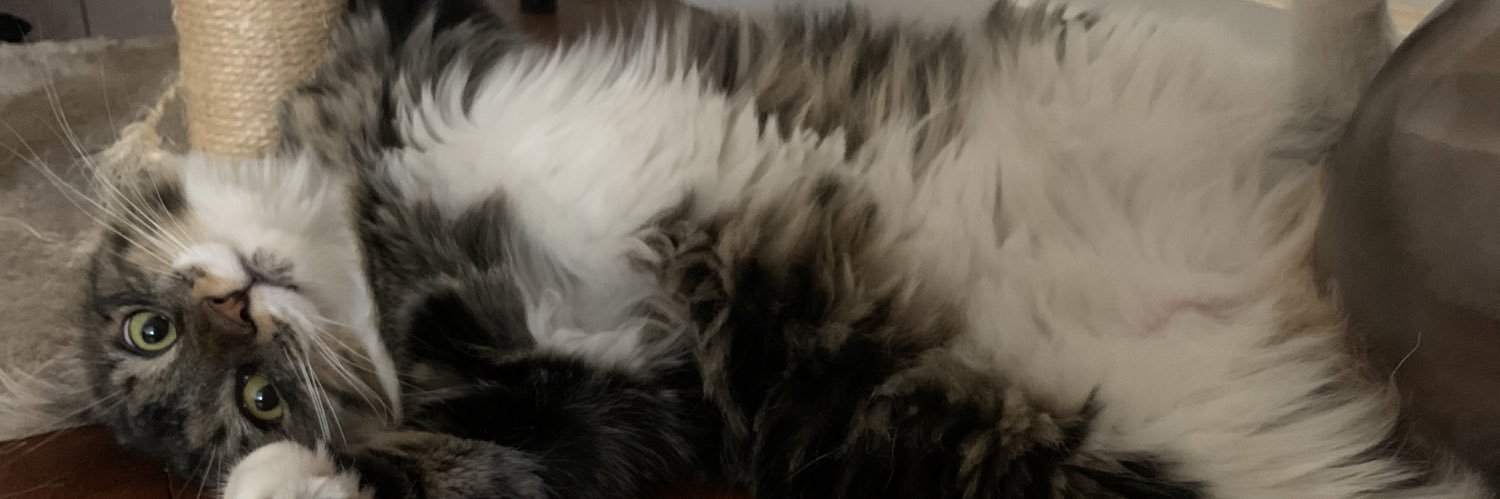 orlzne's profile banner image