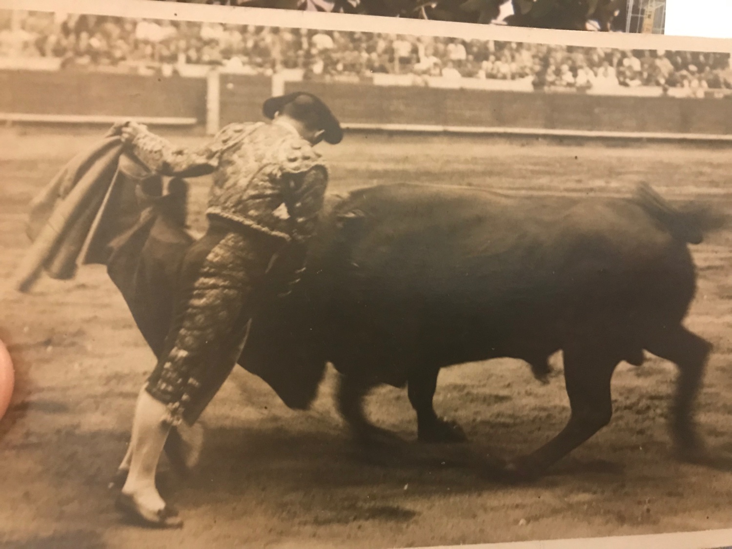 garciacolchero's profile banner image