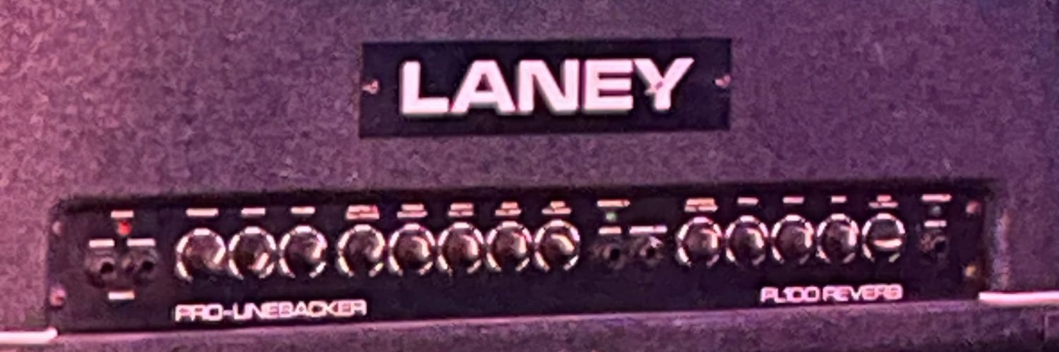 DelaneyHoenig's profile banner image