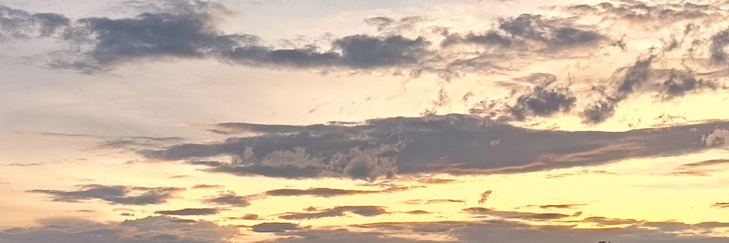 Aiun.🐶 banner