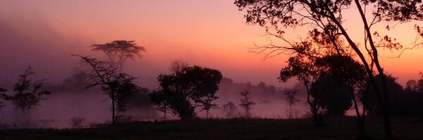 EmilieFilou Profile Banner