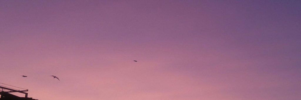 ASinanShn's profile banner image