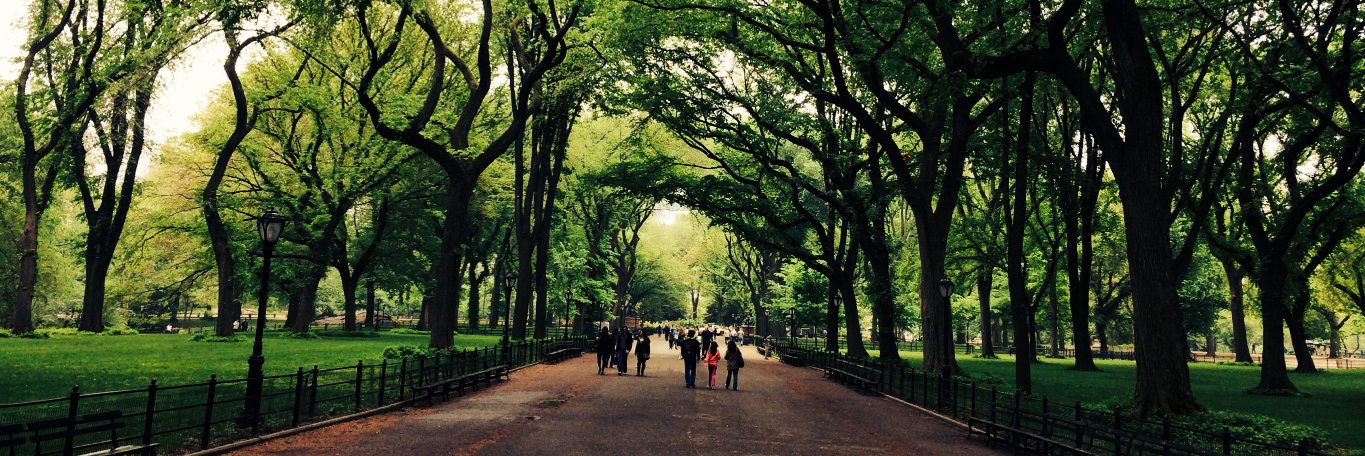 Bahar Leventoglu banner