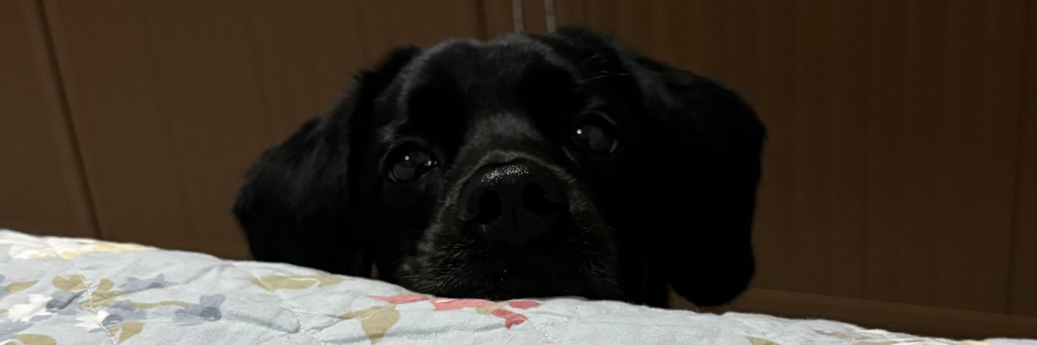 Ferfreyreb's profile banner image