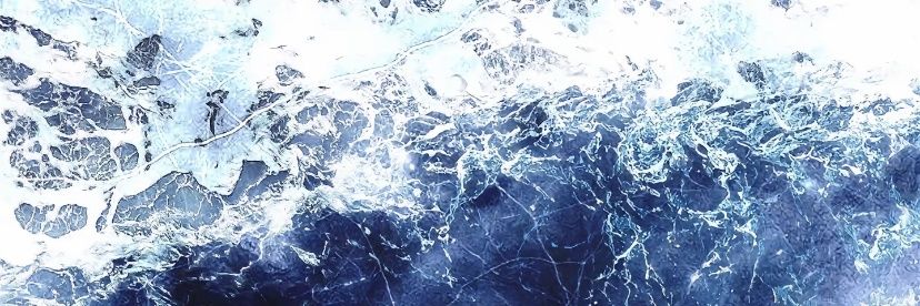 _Fog_sea1's profile banner image