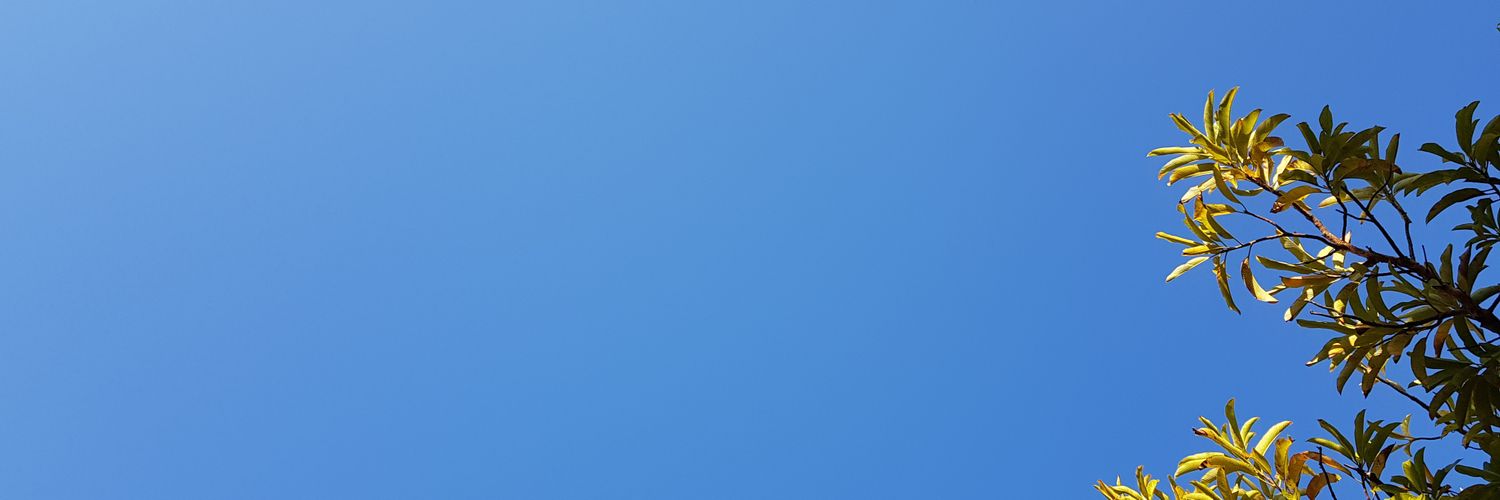 subsetofme's profile banner image