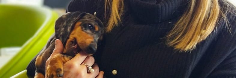 vrestrepouribe's profile banner image