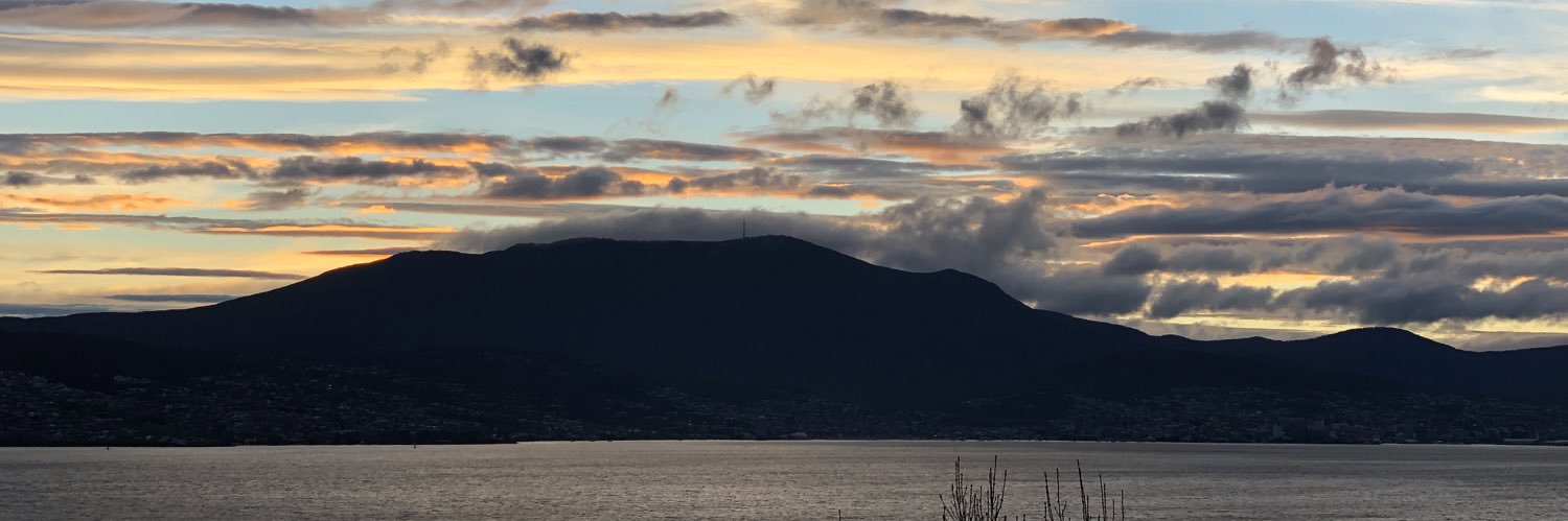 Natalie Schilov banner