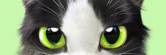 Catwalk_c's profile banner image