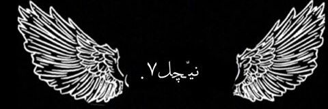 xo99c's profile banner image