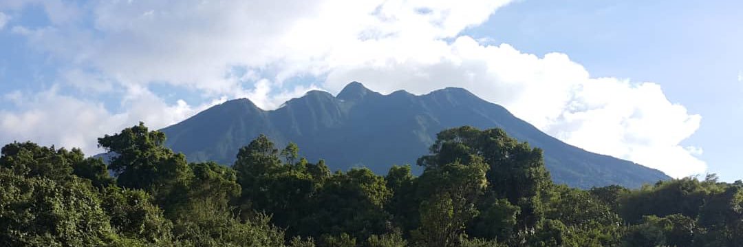Mgahinga National Park banner