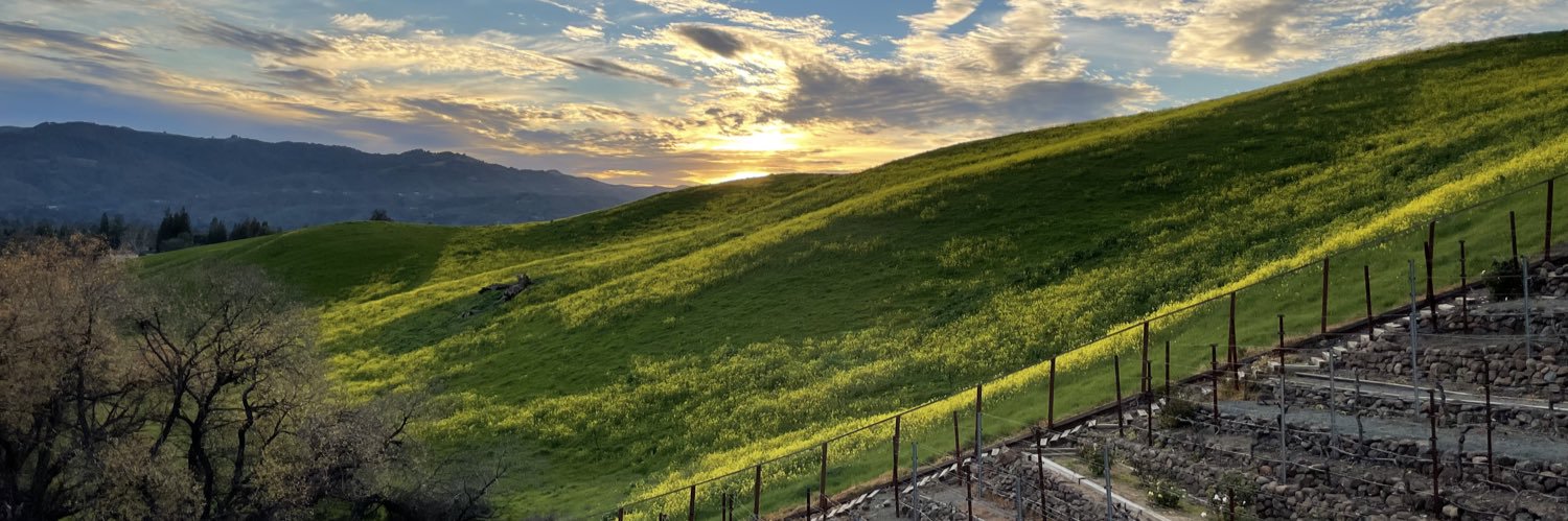 Margaret Simor banner