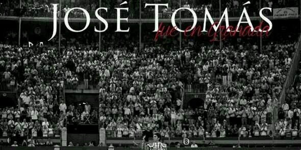 José Tomás  banner