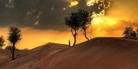 Ameeraa2013's profile banner image