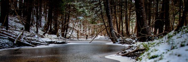 Noble41 Profile Banner