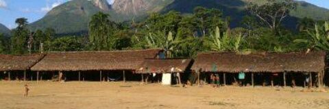 Geraldo de Mello 🇦🇹🇦🇹 banner