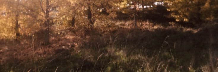 clem banner