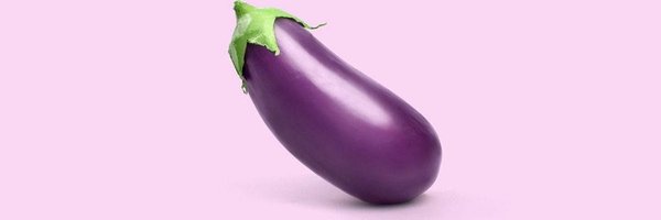 dickpicemon Profile Banner