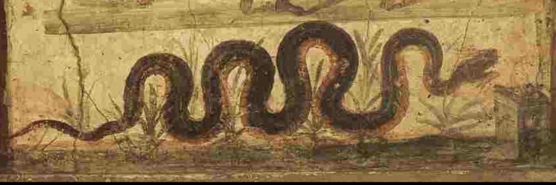 Proyecto Arqueo banner