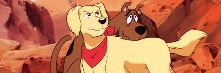 RetrieverDAmber's profile banner image
