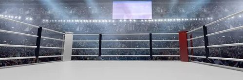 𝐅𝐢𝐠𝐡𝐭𝐞𝐫 𝐌𝐨𝐧𝐬𝐭𝐞𝐫 banner